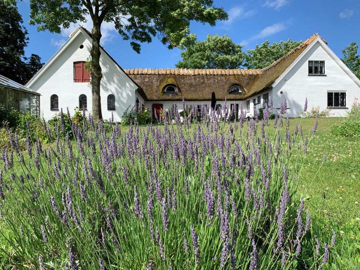 Mariegaardens Gaestehuse 힐레뢰드 외부 사진