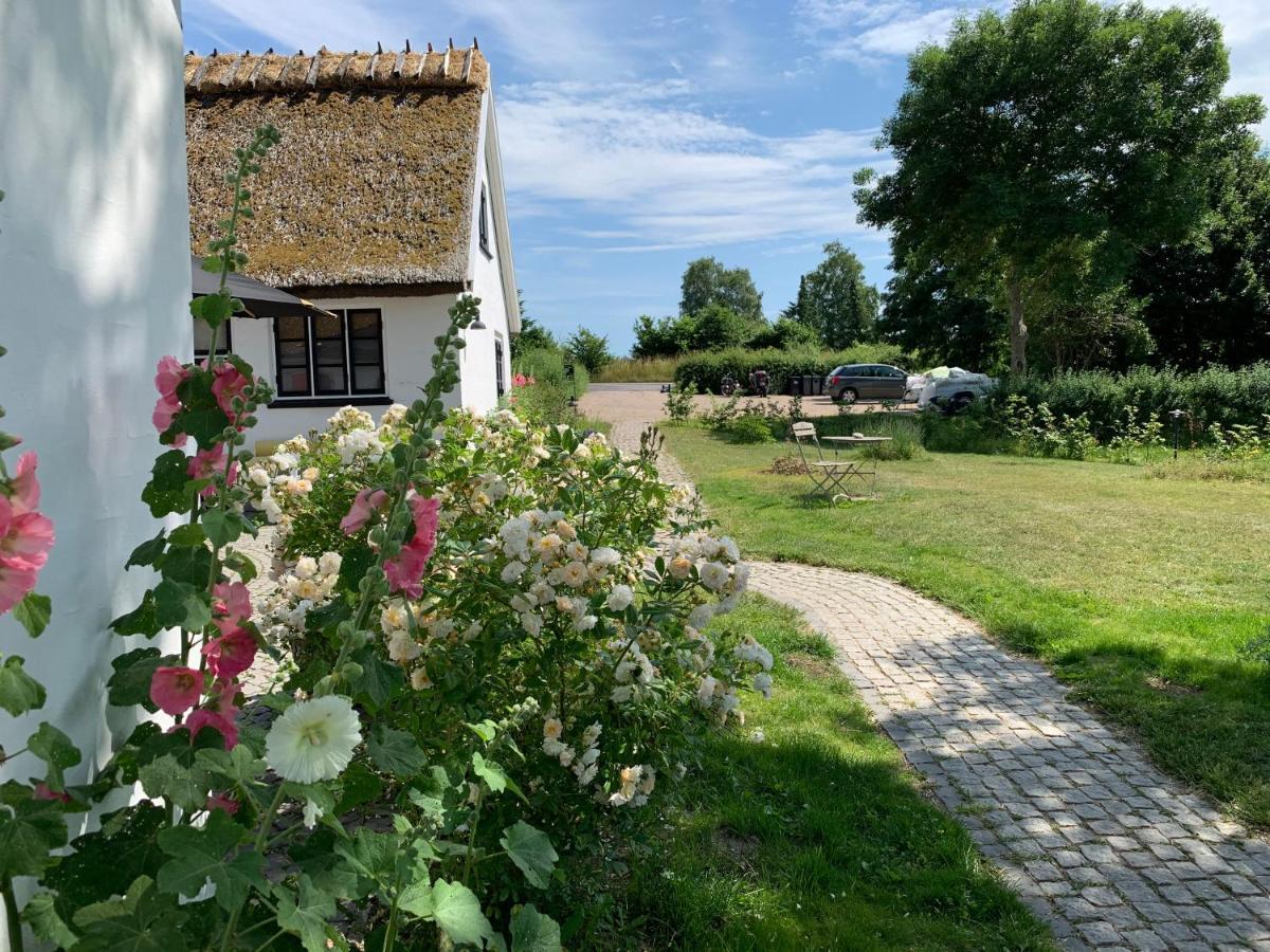 Mariegaardens Gaestehuse 힐레뢰드 외부 사진