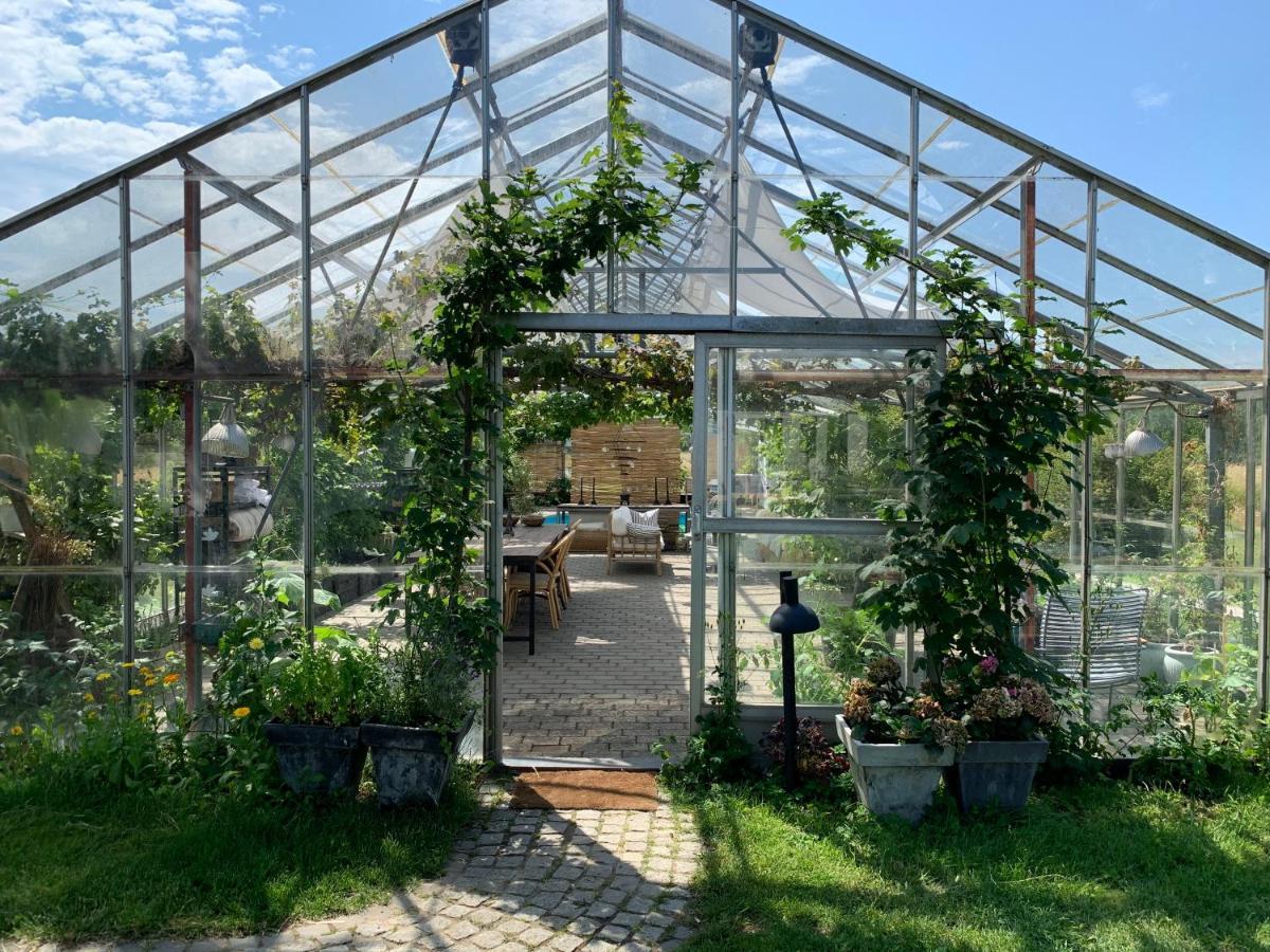 Mariegaardens Gaestehuse 힐레뢰드 외부 사진